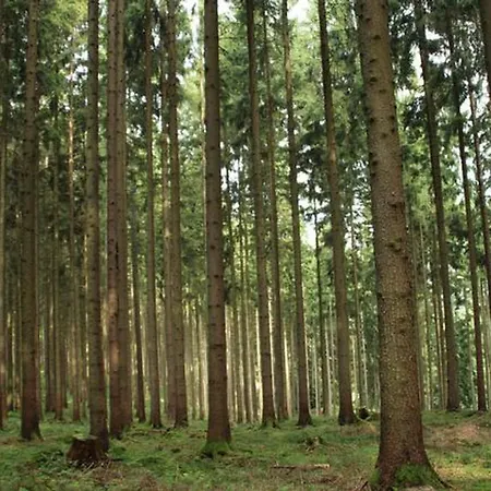 Seepark Bei Zeta Mit Sauna *