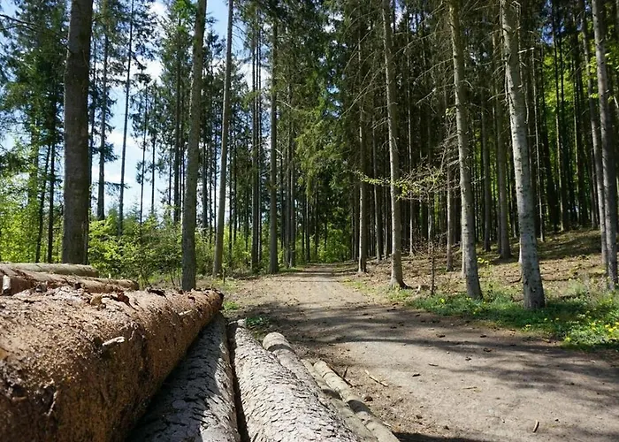 Seepark Bei Zeta Mit Sauna Ferienhaus *