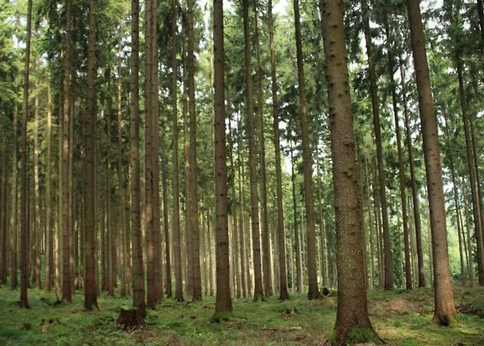Seepark Bei Zeta Mit Sauna *